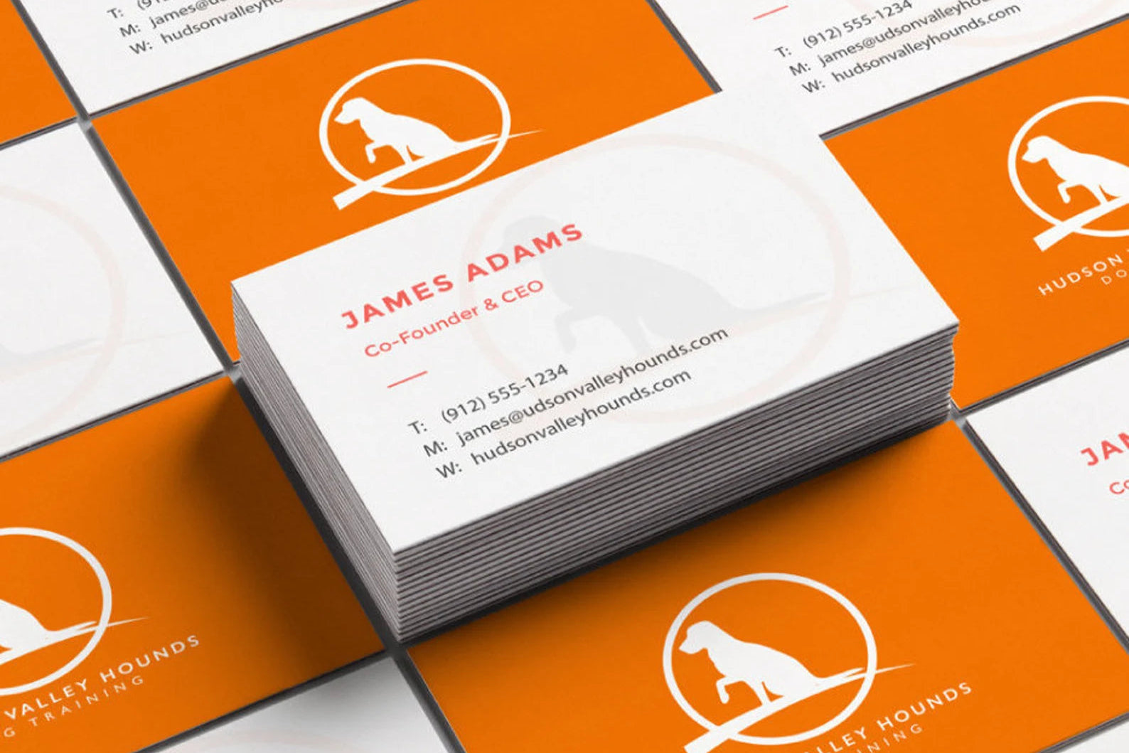 Business Card Design | Cinco Creative | Logo Design  | B-Card Design