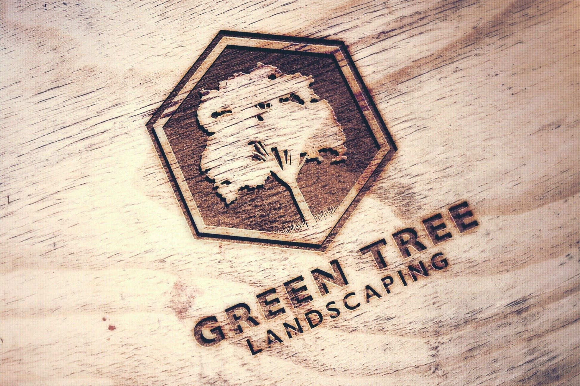 Logo Design - Landscaping Company Logo | Tree Service Business Logo | Lawn Care Business